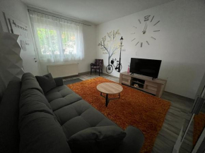 Apartman Dunav - PARKING - Self check in